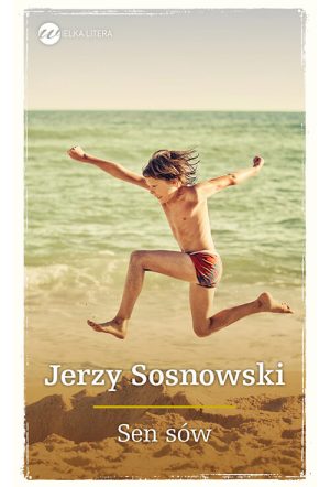 Okładka książki Sen sów Jerzy Sosnowski